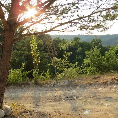 Le Du Grand Cedre - Proche Des Gorges Du Verdon Vakantiehuis *