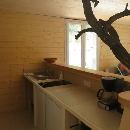 Holiday home Le Du Grand Cedre - Proche Des Gorges Du Verdon